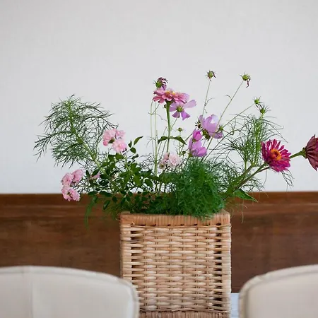 Anastazija Sea View 公寓